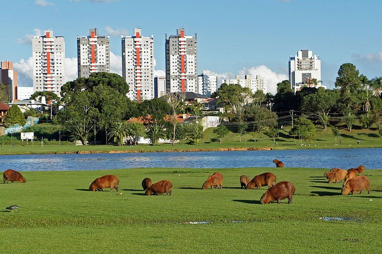 1 quarto | Parque Barigui | Mercado Condor