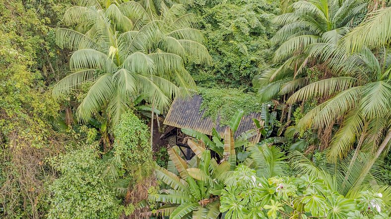 Incrível experiência em meio à Natureza - Cabana